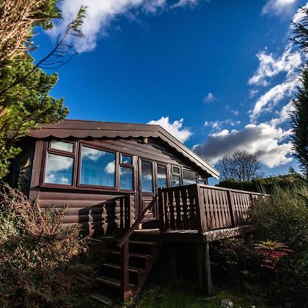 Log Cabin Nr Coed Y Brenin By Seren Short Stays Trawsfynydd Esterno foto